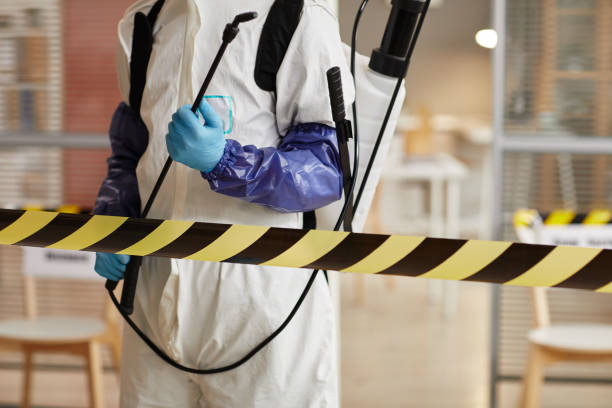 Professional Odor Removal technician working in Port William, OH